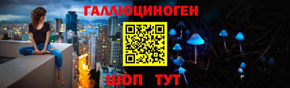где купить наркоту  Псилоцибиновые грибы прущие грибы  Вход с VPN  Чернушка 